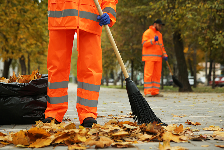 Seasonal Cleanups